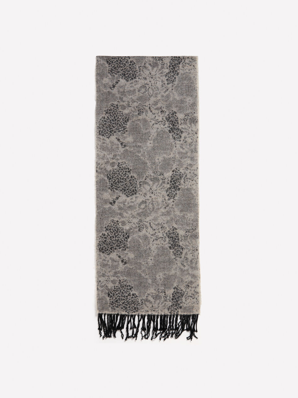 SCARF &Gamma;&upsilon;&nu;&alpha;&iota;&kappa;&epsilon;ί&alpha; image number null