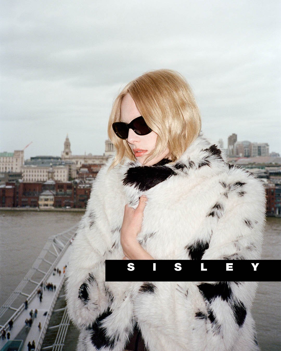 Hello Stranger - Sisley